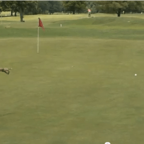 ROE the Agency with Harley&nbsp;Morgan